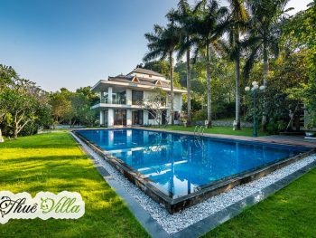 Green Ribbon - Hòa Bình