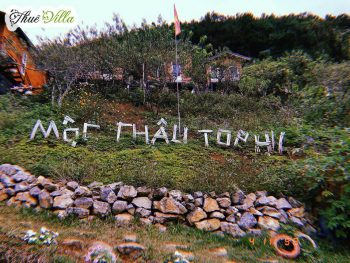 Mộc Châu Top Hill