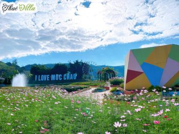 Khu Du Lịch Mộc Châu Happy Land