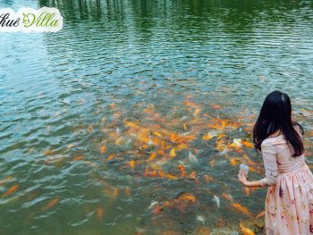 Alternative view of Phoenix Mộc Châu Resort