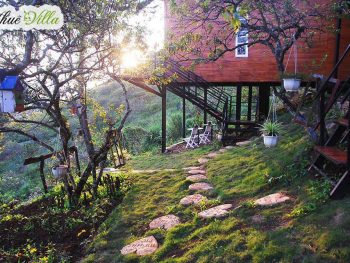 Alternative view of Mộc Châu Top Hill