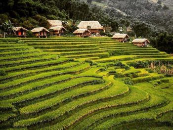 Eco Palms House - Mountain Retreat Sapa