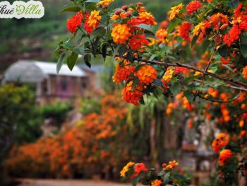 Alternative view of Homestay Phố Núi Tình Yêu Mộc Châu