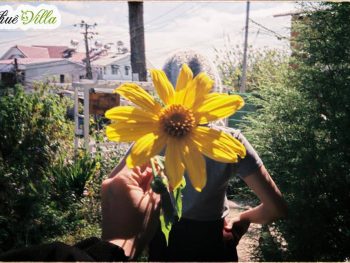 Alternative view of Komori House Đà Lạt