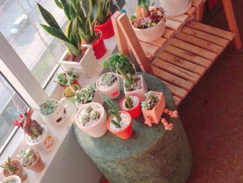 Alternative view of Le Jardin Homestay Ha Long