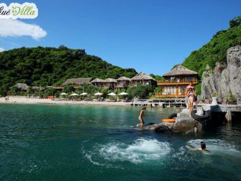 Monkey Island Resort