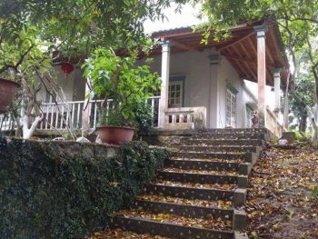 Alternative view of Thung mây Farm Hòa Lạc