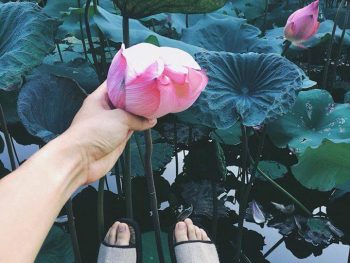 Alternative view of Trang An Valley Bungalow