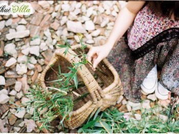 Alternative view of Vườn đom đóm Đà Lạt