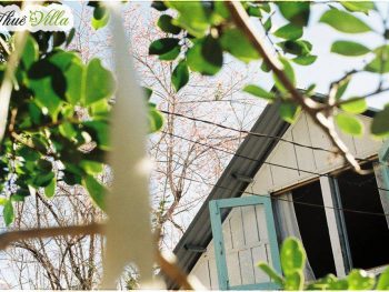 Vườn đom đóm Đà Lạt