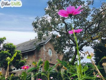 Alternative view of Cuc Phuong Resort