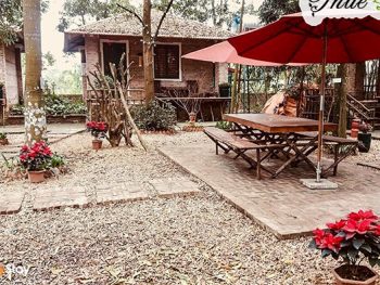 Homestay Sơn Tây The Forest