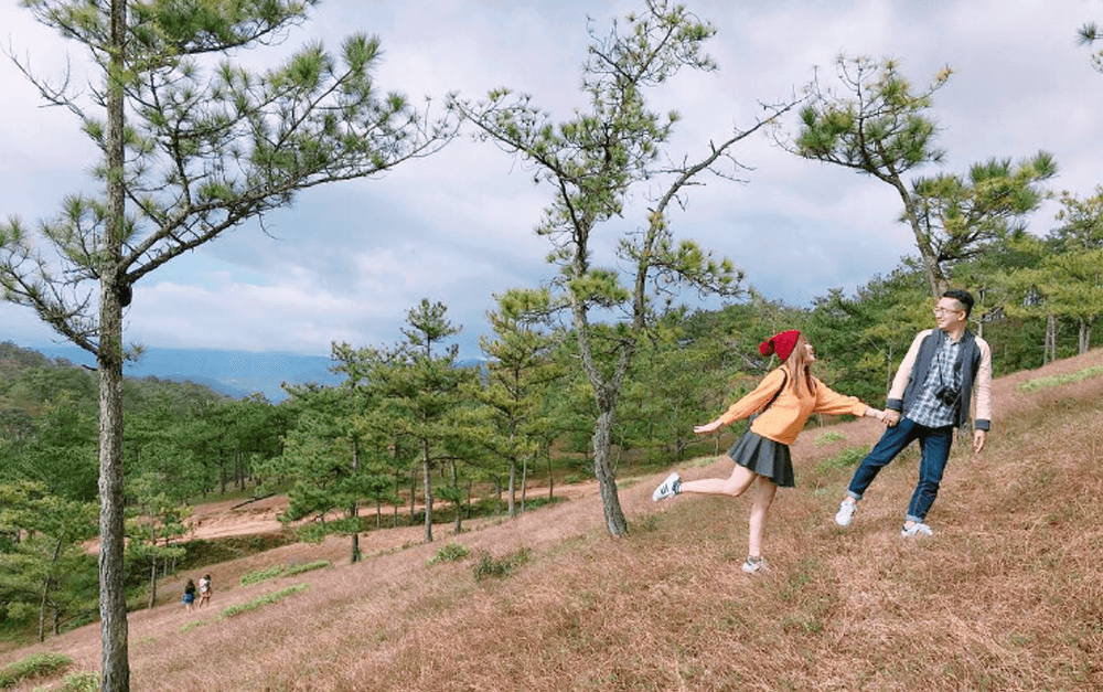 Kinh nghiệm du lịch Đà Lạt cho bạn và gia đình năm 2021