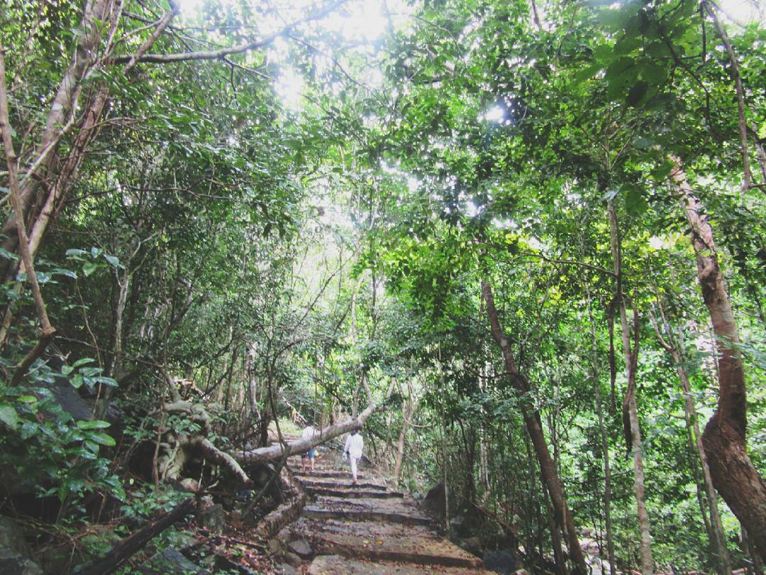 Kinh nghiệm du lịch Côn Đảo tự túc giá rẻ siêu tiết kiệm