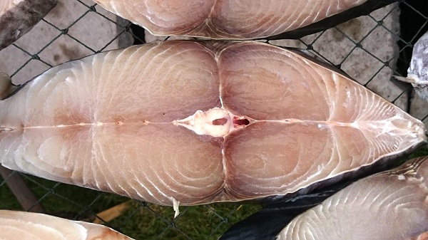 Kinh nghiệm du lịch Côn Đảo tự túc giá rẻ siêu tiết kiệm