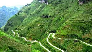 Kinh nghiệm du lịch Mộc Châu để có trải nghiệm tuyệt vời nhất