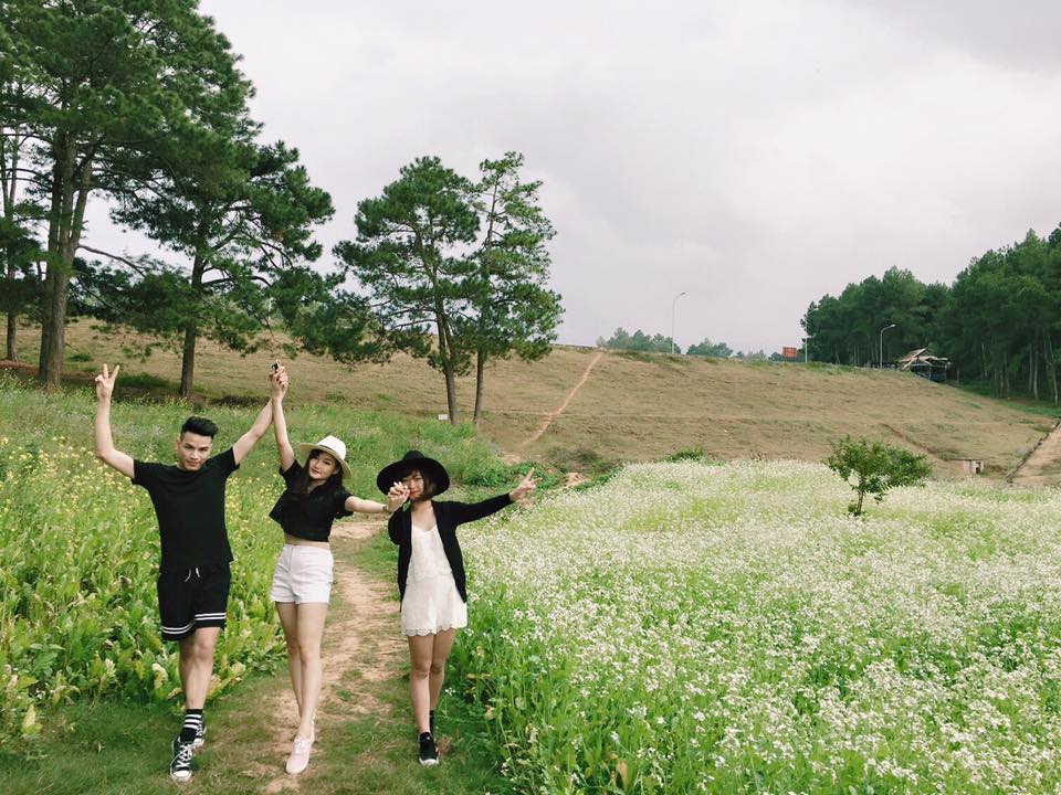 Kinh nghiệm du lịch Mộc Châu để có trải nghiệm tuyệt vời nhất