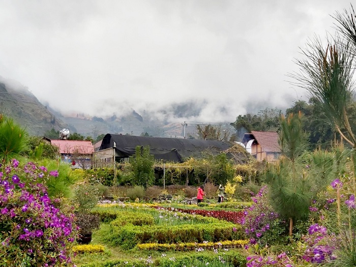 Trọn bộ kinh nghiệm du lịch Bắc Hà 2021 cho người mới