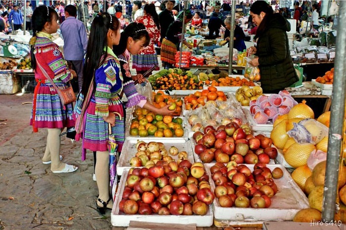 Trọn bộ kinh nghiệm du lịch Bắc Hà 2021 cho người mới