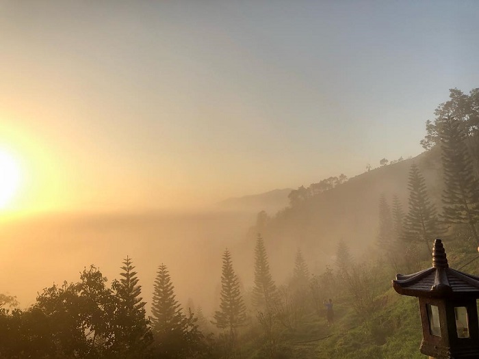 Kinh nghiệm du lịch Bảo Lộc Lâm Đồng chi tiết cho người mới