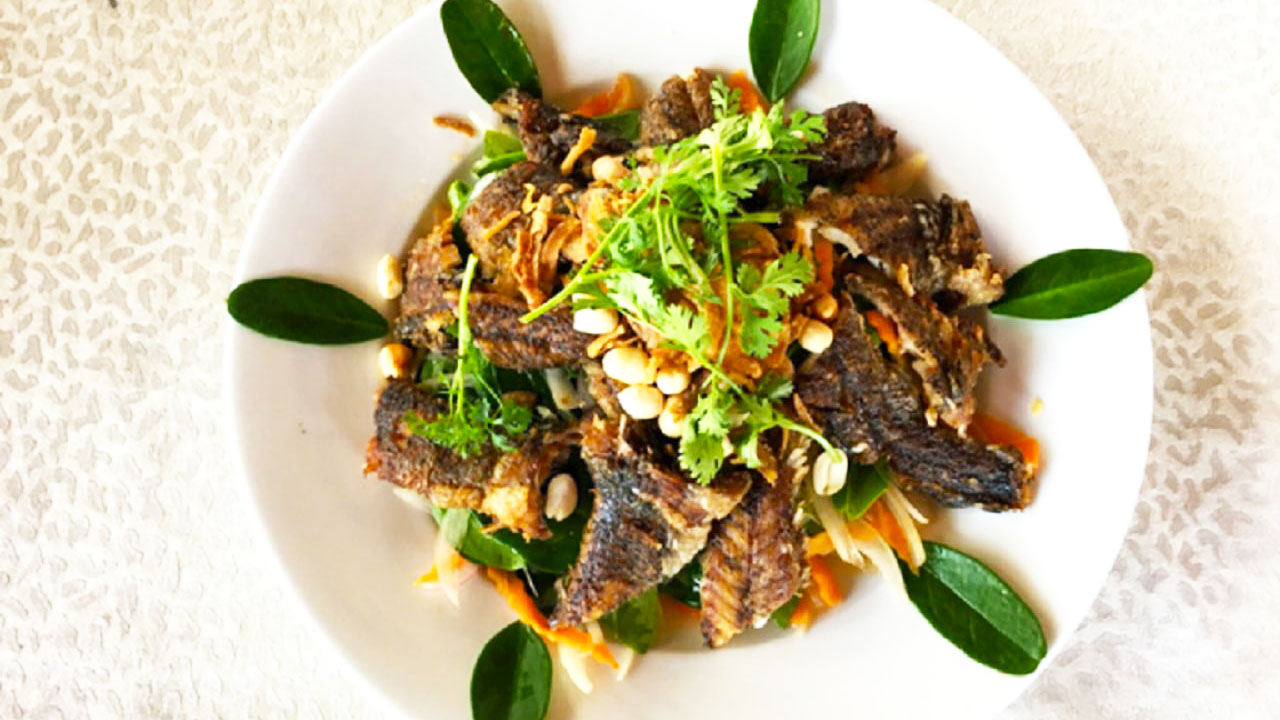 Kinh nghiệm du lịch Cần Giờ khám phá Ốc Đảo Xanh ngay tại Sài Gòn