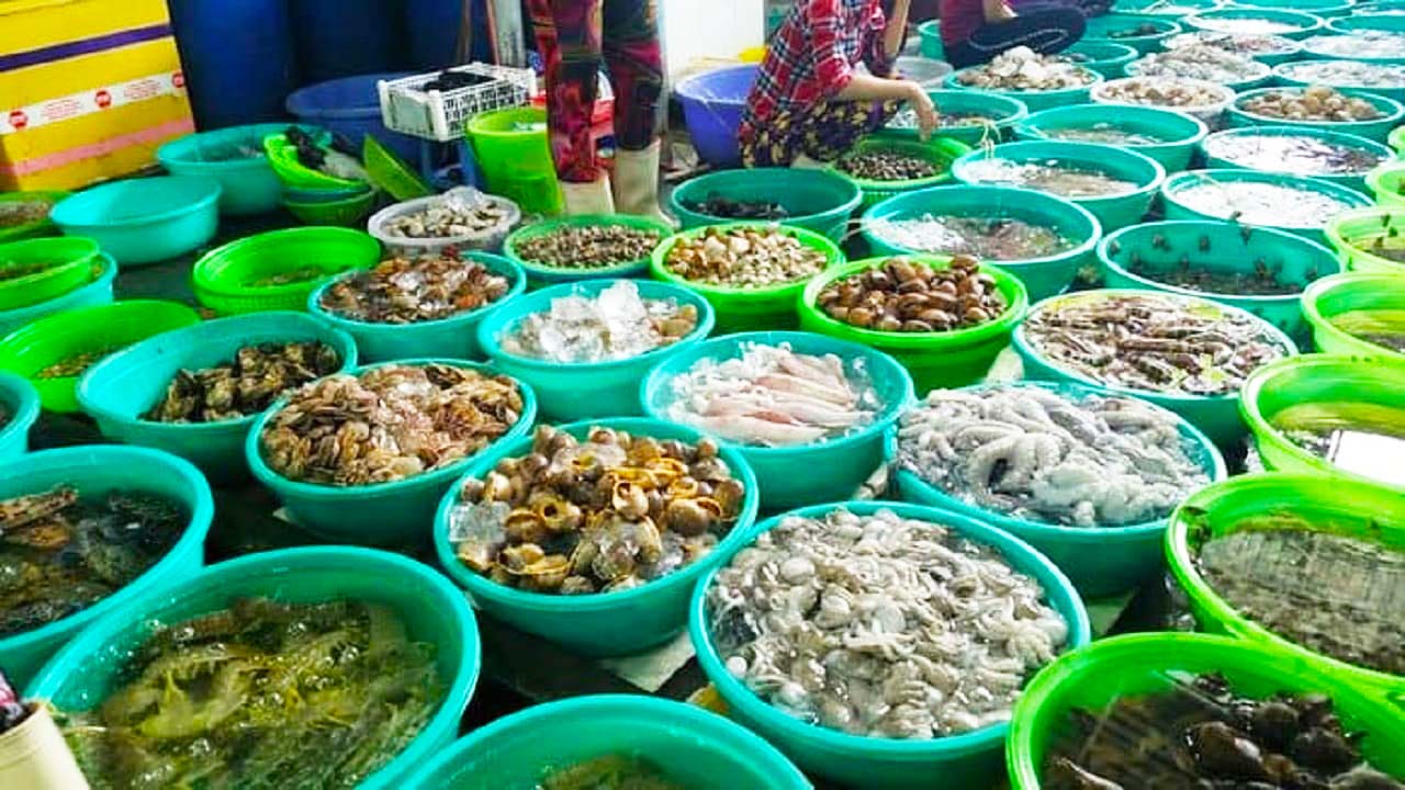 Kinh nghiệm du lịch Cần Giờ khám phá Ốc Đảo Xanh ngay tại Sài Gòn