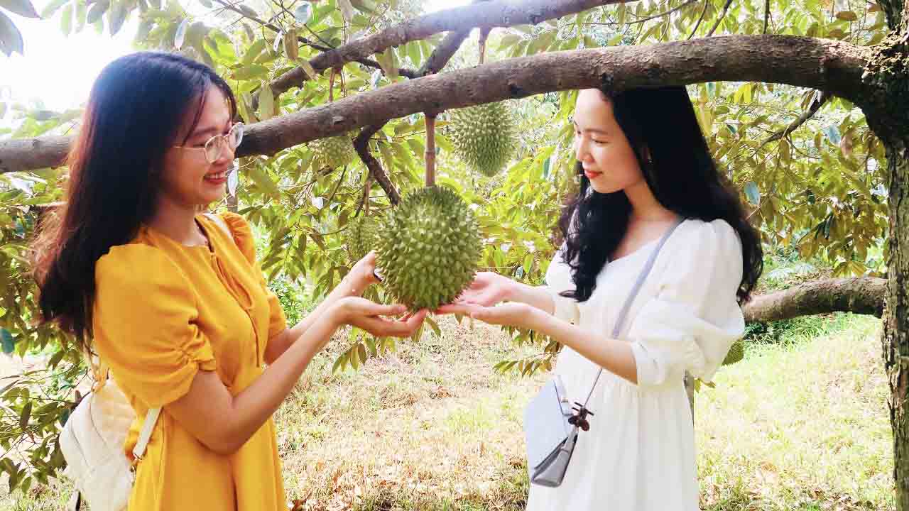 Kinh nghiệm du lịch Cần Thơ - Các địa địa check in, ăn chơi lí tưởng