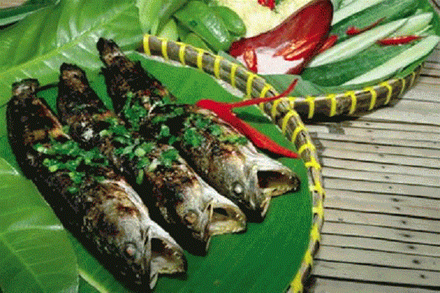 Bỏ túi kinh nghiệm du lịch Cà Mau - Điểm tận cùng Tổ Quốc