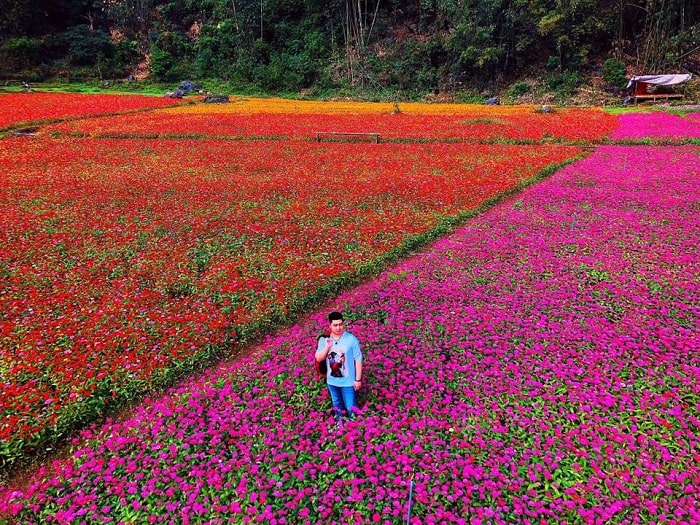 Cẩm nang kinh nghiệm du lịch Lạng Sơn tự túc trọn bộ chi tiết nhất
