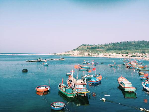 Kinh nghiệm du lịch Lý Sơn - Khám phá Vương Quốc Tỏi cực chất