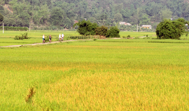 Kinh nghiệm du lịch Mai Châu - Hòa Bình tự túc từ A đến Z