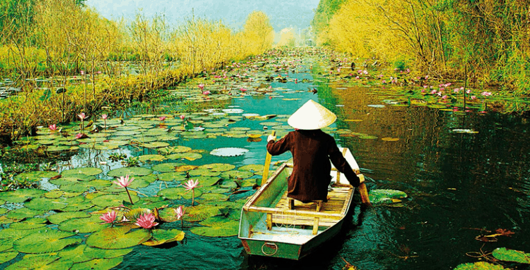 Kinh nghiệm du lịch Miền Tây sông nước tự túc chi tiết nhất