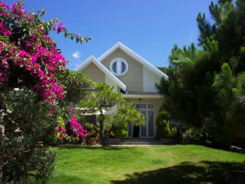 Thông Villa Đà Lạt