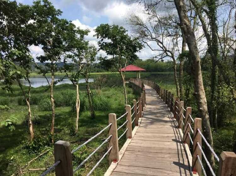 Kinh nghiệm du lịch rừng Nam Cát Tiên thú vị từ A đến Z