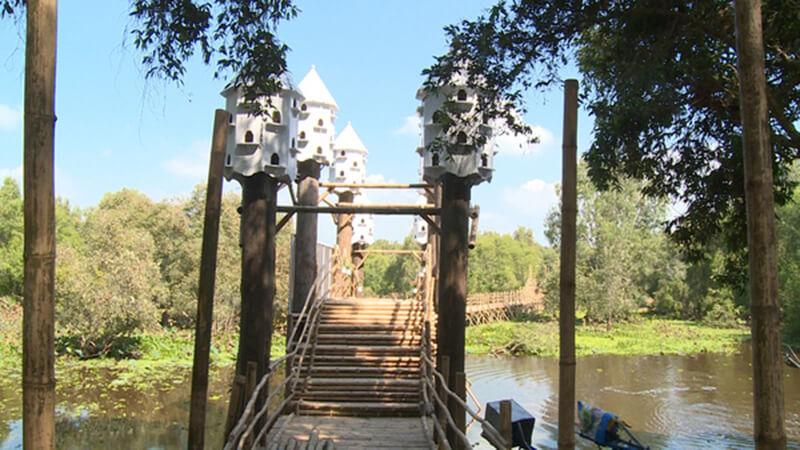 Kinh nghiệm du lịch rừng tràm Trà Sư ở An Giang cho người mới