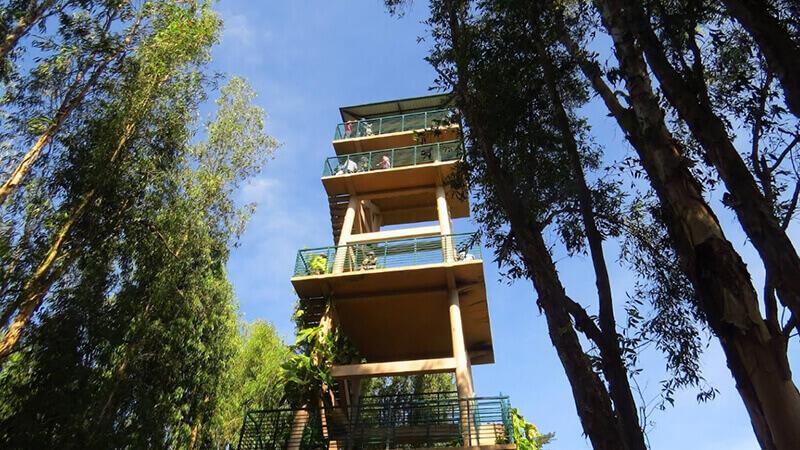 Kinh nghiệm du lịch rừng tràm Trà Sư ở An Giang cho người mới