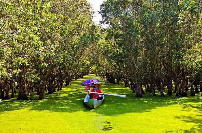 Trọn bộ kinh nghiệm du lịch rừng U Minh Thượng tự túc từ A - Z