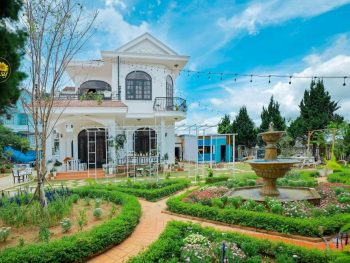Daisy Villa Đà Lạt