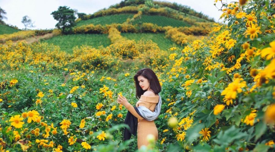 Kinh nghiệm du lịch Tây Nguyên trọn bộ tự túc tiết kiệm chi phí