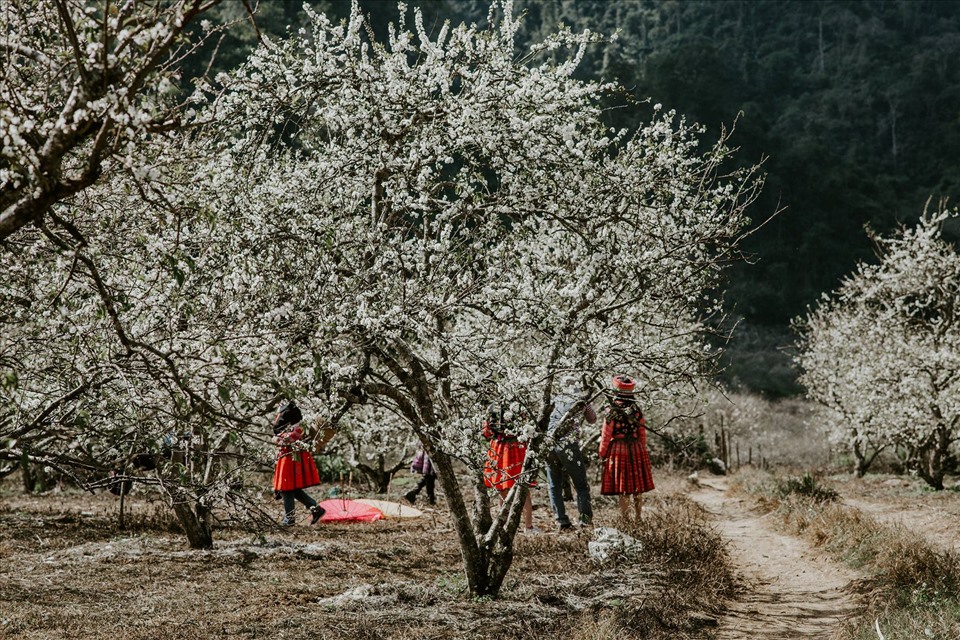 Kinh nghiệm du lịch Tây Nguyên trọn bộ tự túc tiết kiệm chi phí