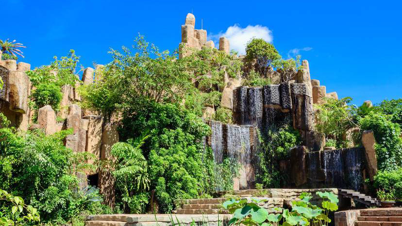 Kinh nghiệm du lịch Tây Nguyên trọn bộ tự túc tiết kiệm chi phí