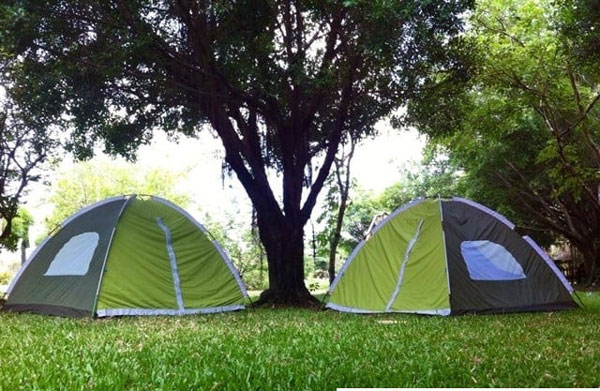 Khám phá khu du lịch Cạp Bò Vàng đang HOT tại Đồng Nai