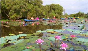 Kinh nghiệm du lịch làng nổi Tân Lập - Review trong vòng 1 ngày