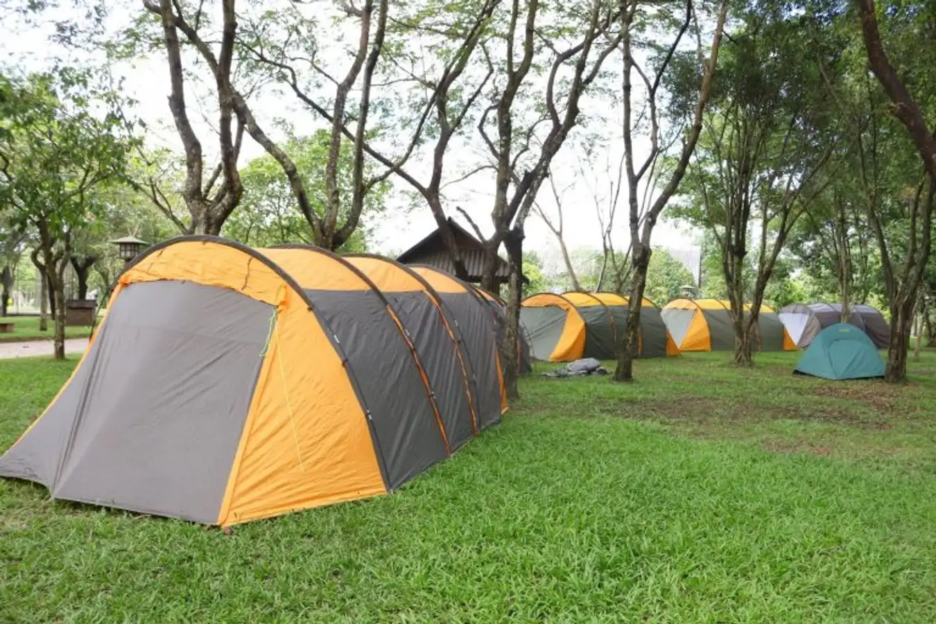 Kinh nghiệm du lịch Thác Giang Điền với vẻ đẹp hút hồn