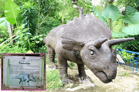 Khoang Xanh Suối Tiên có những trò chơi gì? Giá vé thế nào?