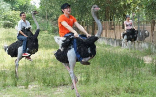 Khu du lịch Vườn Xoài - Điểm tham quan hấp dẫn tại Biên Hòa