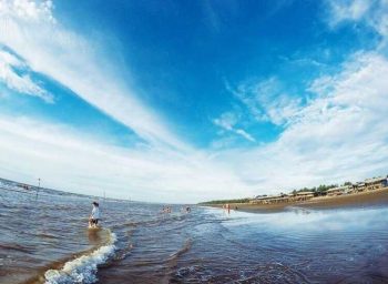 Khám phá khu du lịch biển Cồn Vành đẹp nhất tỉnh Thái Bình