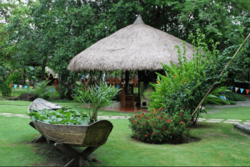 Khu du lịch Bình Quới: Kinh nghiệm ăn gì, chơi gì, ở đâu?