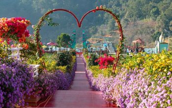 Nên đi du lịch vườn thượng uyển vào thời điểm nào?